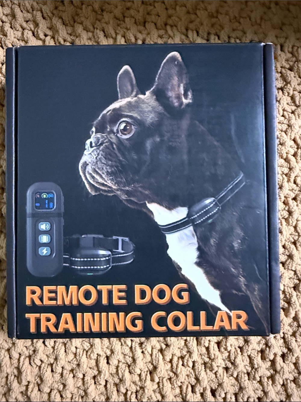 Remote Dog Training Collar in Black - Unbranded